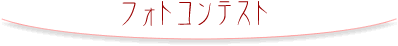 フォトコンテスト